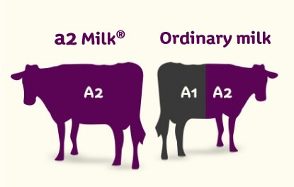 a2-milk-buy